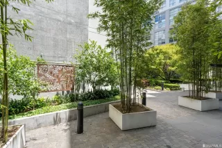 Photo #2: 422674417 Listing 