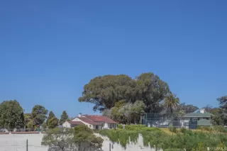 Photo #6: 422698704 Listing