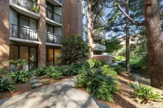 Photo #4: 423745292 Listing