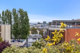 Photo #6: 423902637 Listing