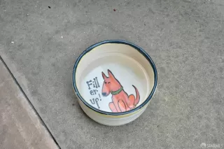 Photo #5: 424001187 Listing