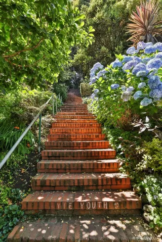 Photo #3: 424004347 Listing 