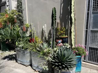 Photo #3: 424021081 Listing