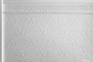 Photo #5: 424043148 Listing 