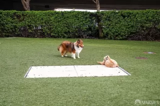 Photo #3: 424052502 Listing