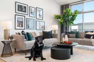 More Details about MLS # 425005926 : 1325 INDIANA STREET #310