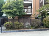 Primary Photo for MLS#: 425052886