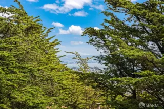 Photo #5: 425054277 Listing 