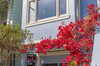 Photo #2: 425063914 Listing 