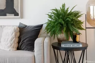 Photo #6: 425072120 Listing