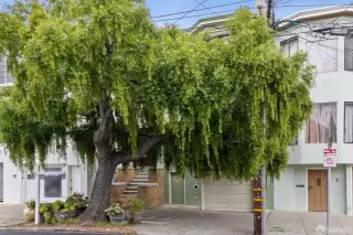 Photo #1: 425072158 Listing 