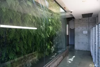 Photo #3: 426097019 Listing 