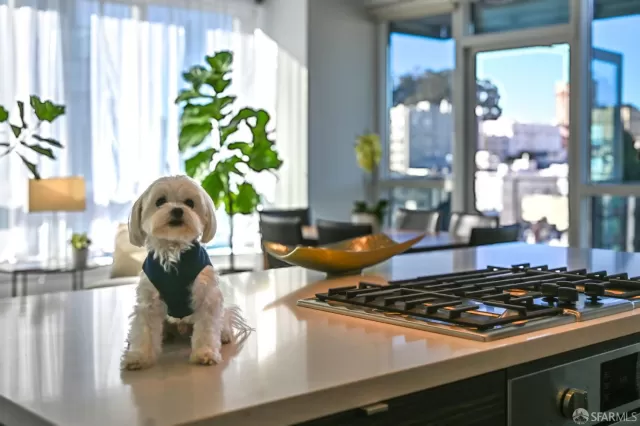 MLS: 426105663 Condo For Sale