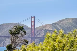 Photo #5: 426119112 Listing 