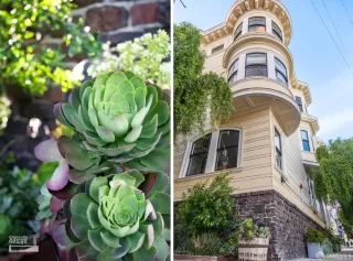 Photo #2: 426124741 Listing 