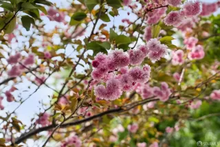 Photo #2: 426125269 Listing 