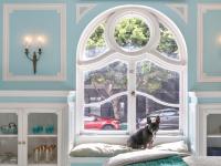 Browse active condo listings in FRANCIS DUNN