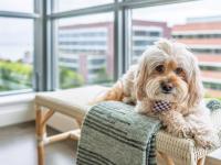 More Details about MLS # 425030612 : 420 MISSION BAY BOULEVARD #708