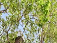 More Details about MLS # 425032122 : 2471 CLAY STREET